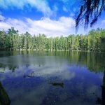 Wanee ~ April 14th-17th, 2011