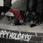 Free Download ~ ‘Twelve Days of Archiving’ by Widespread Panic